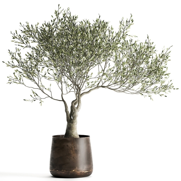 现代植物盆栽3D模型